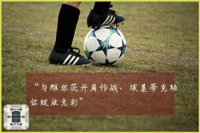 “与维尔茨并肩作战，埃基蒂克助你绽放光彩”