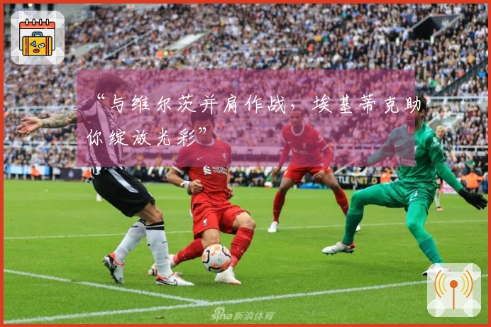 “与维尔茨并肩作战，埃基蒂克助你绽放光彩”